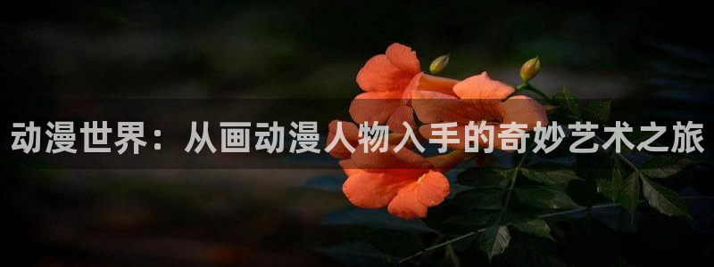 红漫蛙：动漫世界：从画动漫人物入手的奇妙艺术之旅配图