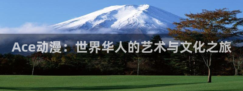 漫蛙图：Ace动漫：世界华人的艺术与文化之旅配图