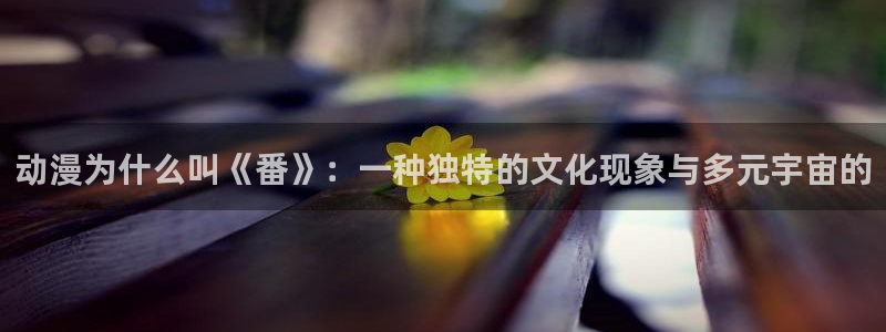 蛙湿漫：动漫为什么叫《番》：一种独特的文化现象与多元宇宙的配图
