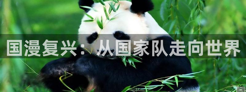 漫蛙1：国漫复兴：从国家队走向世界配图