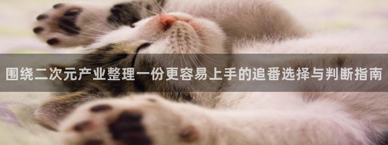 漫蛙打:围绕二次元产业整理一份更容易上手的追番选择与判断指南配图