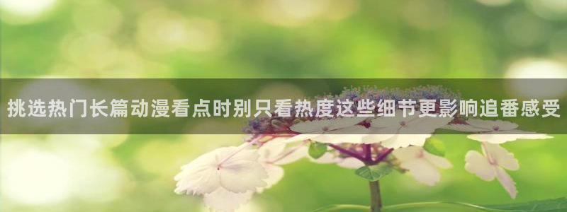 歪蛙漫:挑选热门长篇动漫看点时别只看热度这些细节更影响追番感受配图