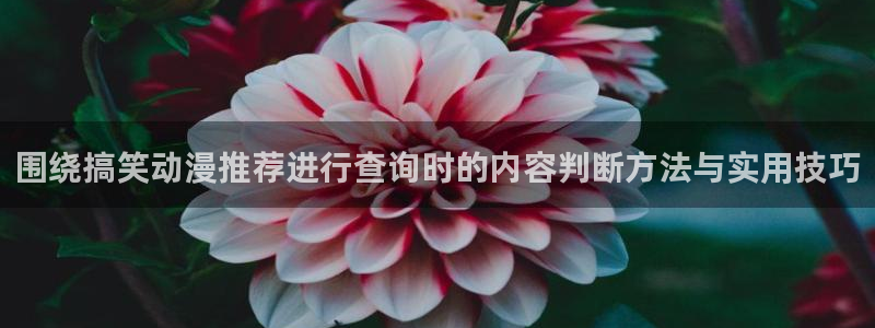 蛙漫展:围绕搞笑动漫推荐进行查询时的内容判断方法与实用技巧配图