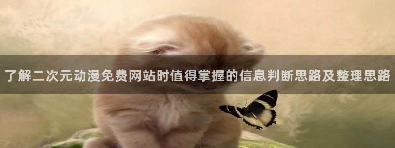 漫蛙中:了解二次元动漫免费网站时值得掌握的信息判断思路及整理思路配图