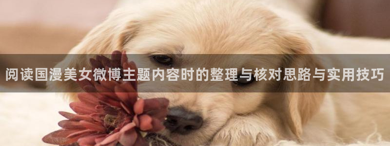 漫蛙老:阅读国漫美女微博主题内容时的整理与核对思路与实用技巧配图