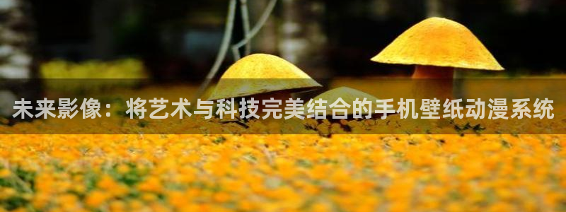 索蛙漫:未来影像:将艺术与科技完美结合的手机壁纸动漫系统配图