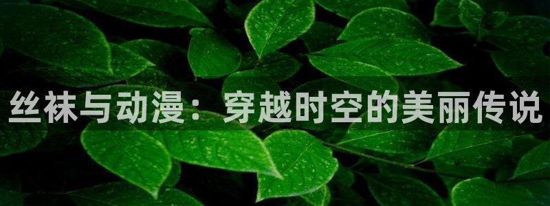 漫蛙官:丝袜与动漫:穿越时空的美丽传说配图