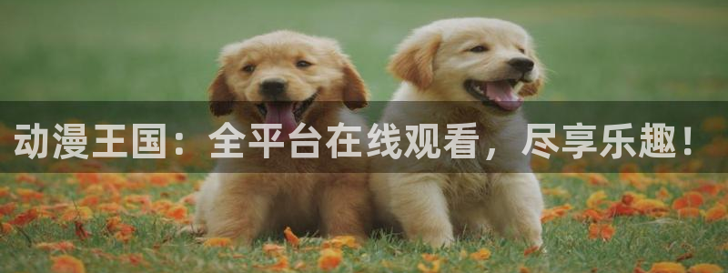 漫蛙X:动漫王国:全平台在线观看,尽享乐趣!配图