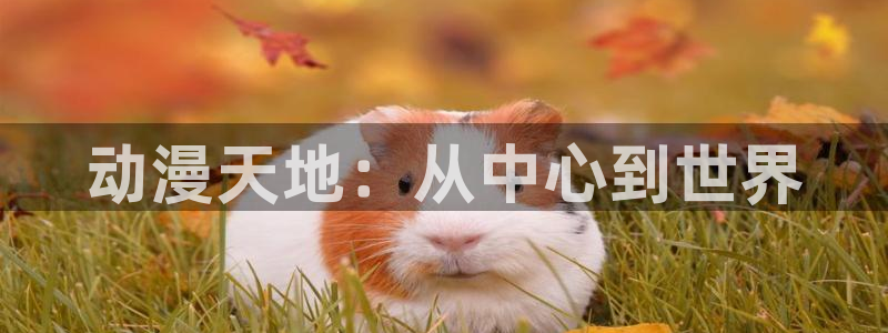 蛙漫海:动漫天地:从中心到世界配图